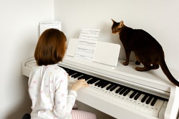egy lány zongorázik, a macska figyeli