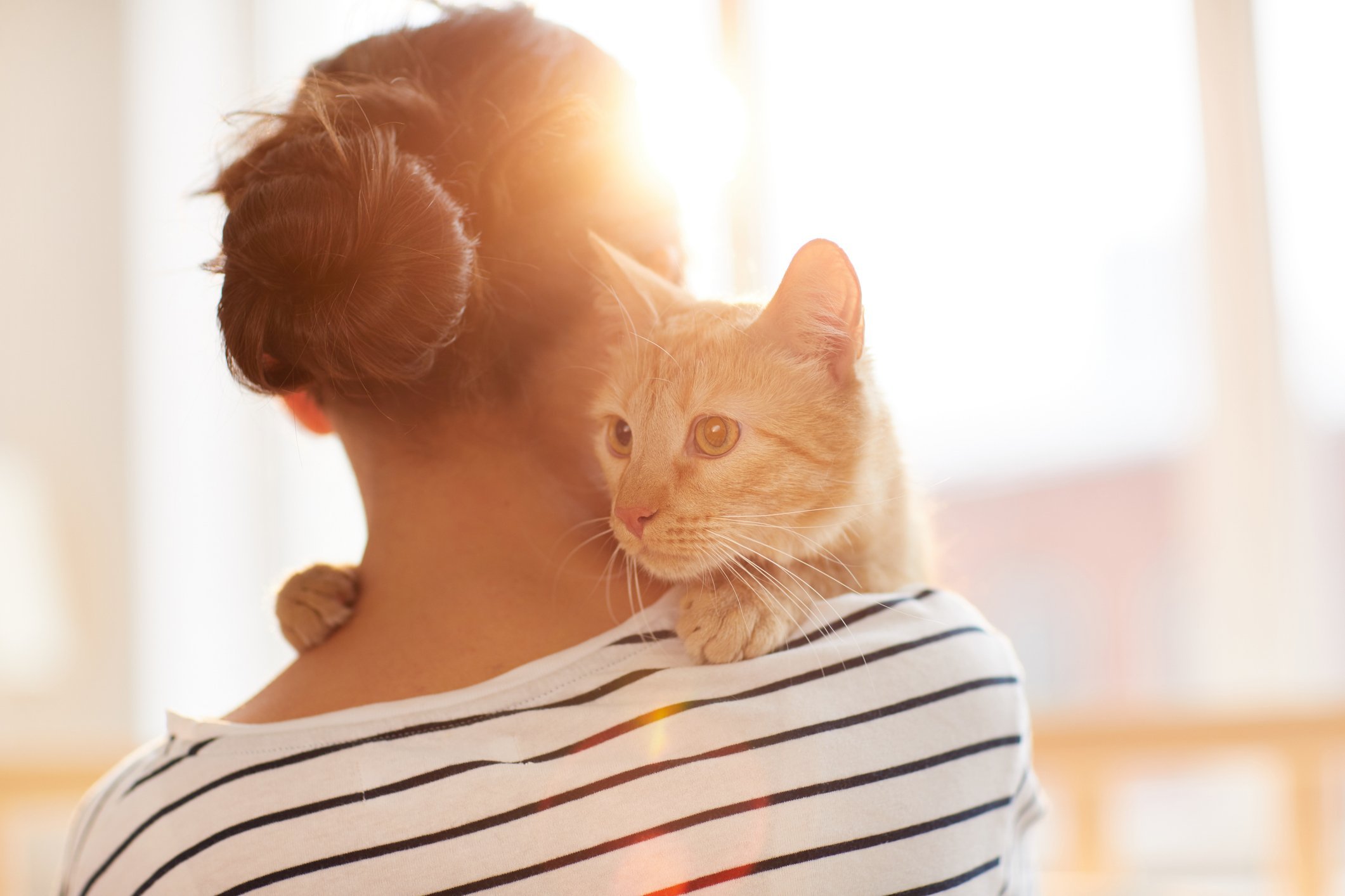 female owner hugging cat