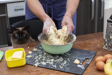 gazdi macskával süt