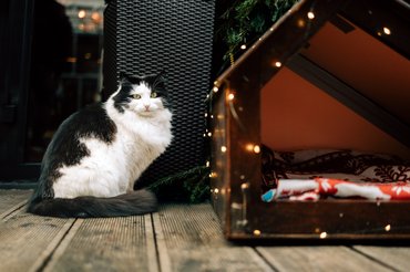 karácsonyi hangulatú kültéri macskaház