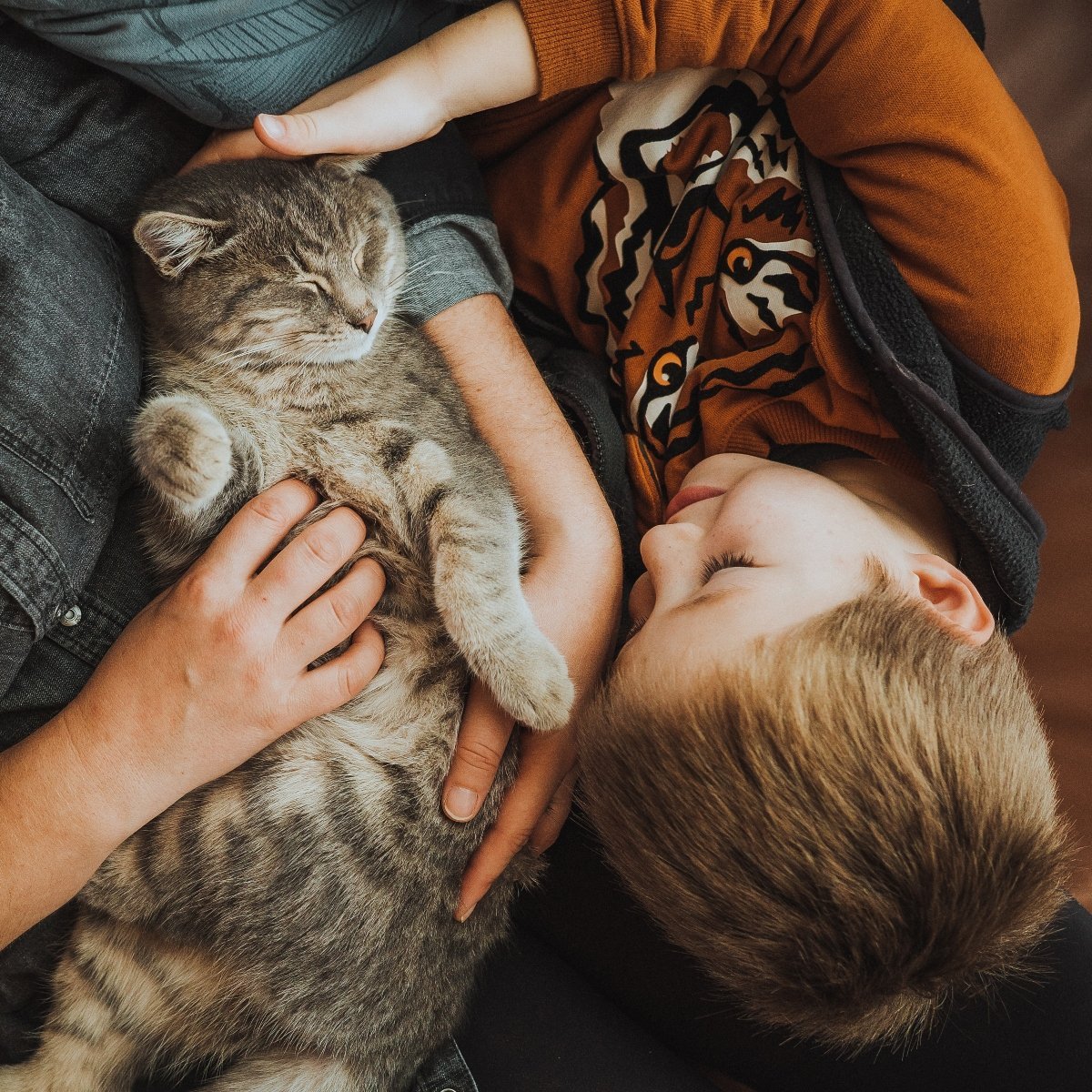 kid sleeping wit a cat