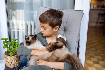 kisfiú macskával a karjában