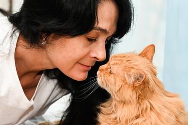 macska szimatolja a gazdáját