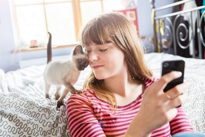 telefonon olvas a macskás nő