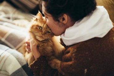 owner kissing ginger cat