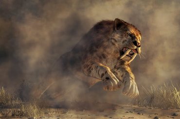 saber toothed cat