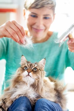 woman brushing her long haired cat