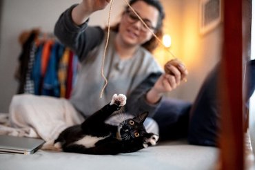 woman playing with a cute cat